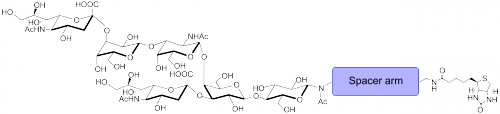 <font color='red'>GD1神经节苷脂类糖-β</font>-N-乙酰–空间构型3-生物素