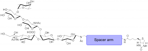 <font color='red'>岩藻糖</font>-GM1神经节苷脂类糖-β-N-乙酰基-空间构型3-生物素