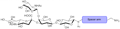 <font color='red'>GM2神经节苷脂类糖-β</font>-N-乙酰基-空间构型1-胺（铵盐）