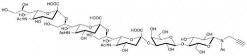 GT3神经节苷脂类糖-β-N-乙酰基-丙炔