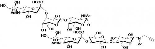 GD1a神经节苷脂类糖-β-N-乙酰基-丙炔