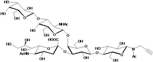 GM1a神经节苷脂类糖-N-乙酰基-β-丙炔