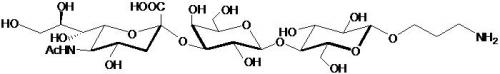 3' 唾液酸乳糖-β-氨丙基