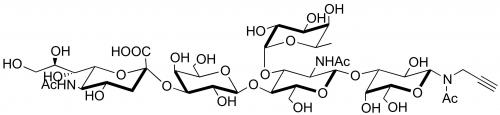 唾液酸 Lewis X抗原五糖-N-乙酰基-丙炔