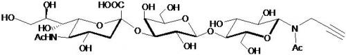 <font color='red'>GM3神经节苷脂类糖-β</font>-N-乙酰基丙炔