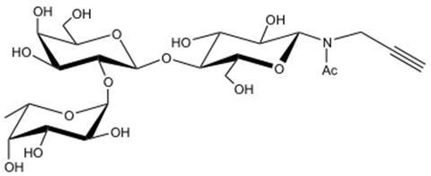 2' 岩藻糖乳糖-N-乙酰基-丙炔