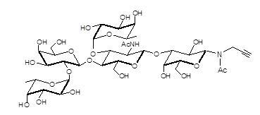 Lewis Y抗原五糖-β-N-乙酰基-丙炔