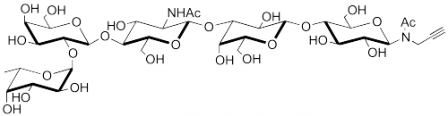 <font color='red'>H血型抗原五糖2型-N-</font>乙酰基-丙炔