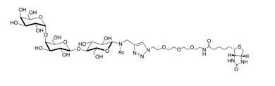 Gb三糖-β-N-乙酰基-空间构型3-生物素