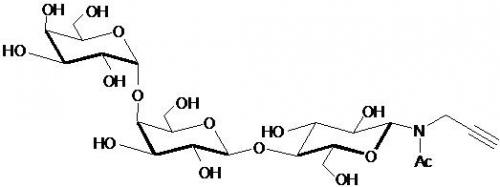 <font color='red'>Globo三糖-β-N-</font>乙酰基-丙炔