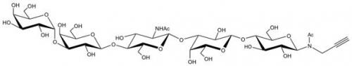 Galili抗原五糖-β-N-乙酰基-丙炔