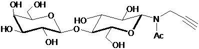 乳糖-β-N-乙酰基-丙炔