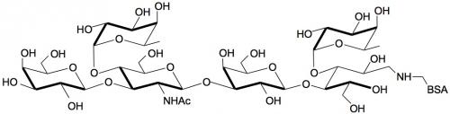 Lewis a六糖-BSA