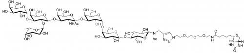 Globo-B七糖-N-乙酰基-空间构型3-生物素