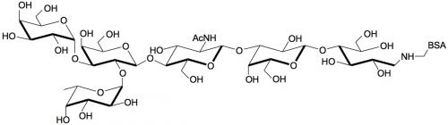 B血型抗原六糖2型-<font color='red'>BSA</font>