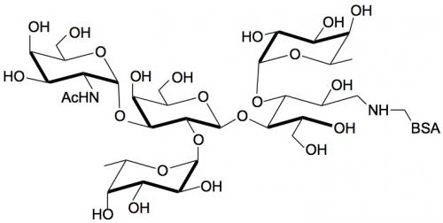 3-岩藻糖-A血型抗原四糖-BSA