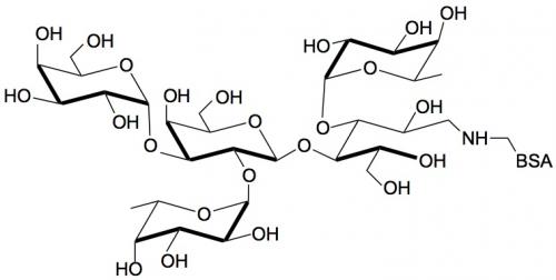 3-岩藻糖-B血型抗原四糖-BSA