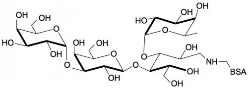 α-3半乳糖-3<font color='red'>岩藻糖</font>乳糖-BSA