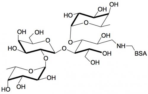 乳糖二岩藻糖四糖-<font color='red'>BSA</font>