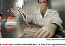 CRISPR Therapeutics和ViaCyte合作开发同种异体干细胞疗法
