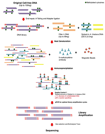 重磅！开发出cfMeDIP–seq技术，最低仅需1ng血浆cf<font color='red'>DNA</font>就可检测早期癌症