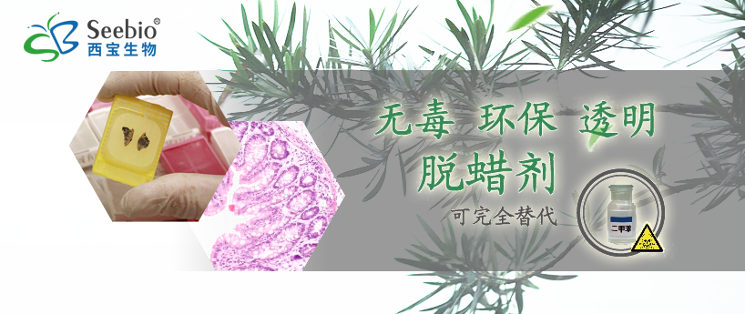 【新品推荐】无毒环保透明脱蜡剂——二甲苯的替代品