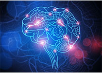 人脑视觉信息编解码研究方面取得新进展