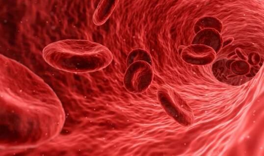 科学家有望开发出诊断心脏疾病的新型<font color='red'>血液检测技术</font>
