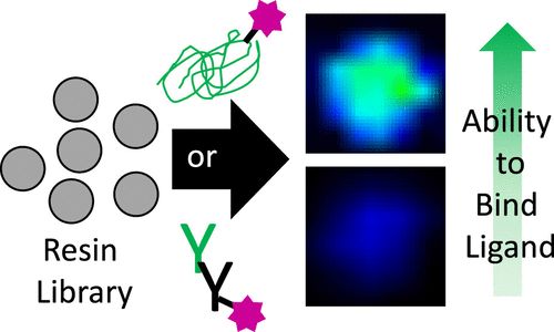 ACS Comb Sci：新技术快速检测癌细胞！<font color='red'>肿瘤</font>早期诊断不是梦！