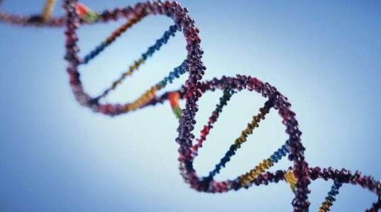为何特定的缺陷基因仅会在机体特定部分引发癌症？