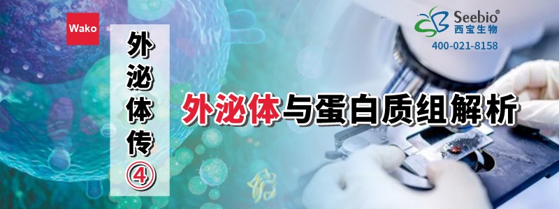 内毒素检测耗材