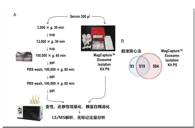 提取纯度对外泌体蛋白质组分析的影响