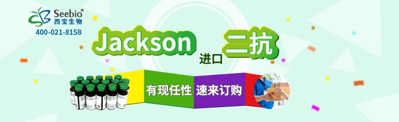 Jackson 二抗 有“现”任性 速来订购