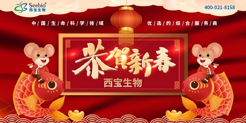 西宝生物2020年元旦春节<font color='red'>放假通知</font>