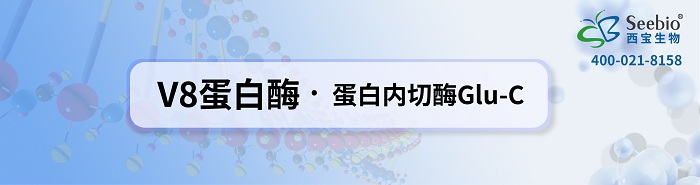 蛋白质结构序列分析用<font color='red'>V8蛋白酶</font> * 蛋白内切酶Glu-C