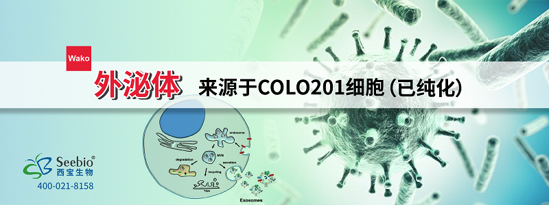 内毒素检测耗材