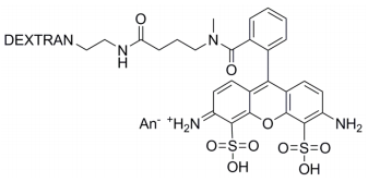 Atto488-dextran的结构式