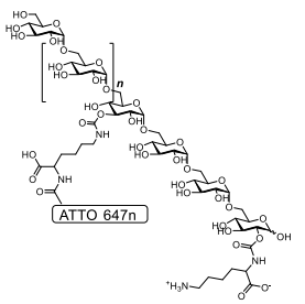ATTO647n标记赖氨酸葡聚糖结构