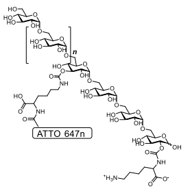ATTO647n标记赖氨酸葡聚糖结构 ATTO647n标记赖氨酸葡聚糖结构