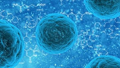 Aging Cell：关键酶可预防细胞衰老