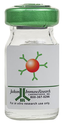 Jackson ImmunoResearch抗地高辛小鼠单克隆抗体 Jackson ImmunoResearch抗地高辛小鼠单克隆抗体
