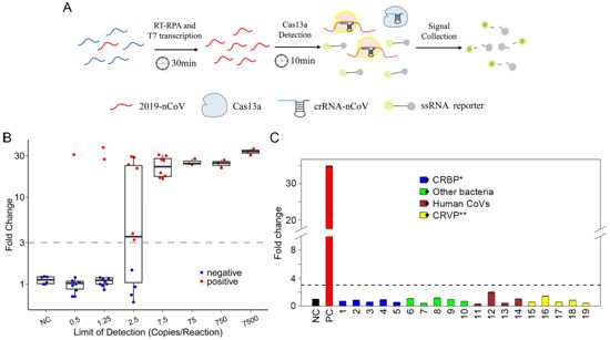 PLoS Pathog：我国科学家开发出一种快速、准确、低成本的COVID-19测试方法