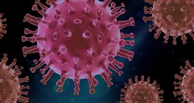 Cell Rep: 关键病毒因子影响COVID19患者免疫力
