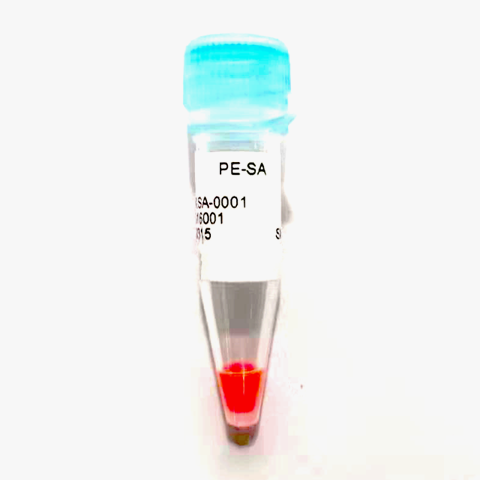 R-藻红蛋白标记链霉亲和素（PE-SA）