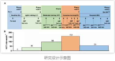 研究设计示意图
