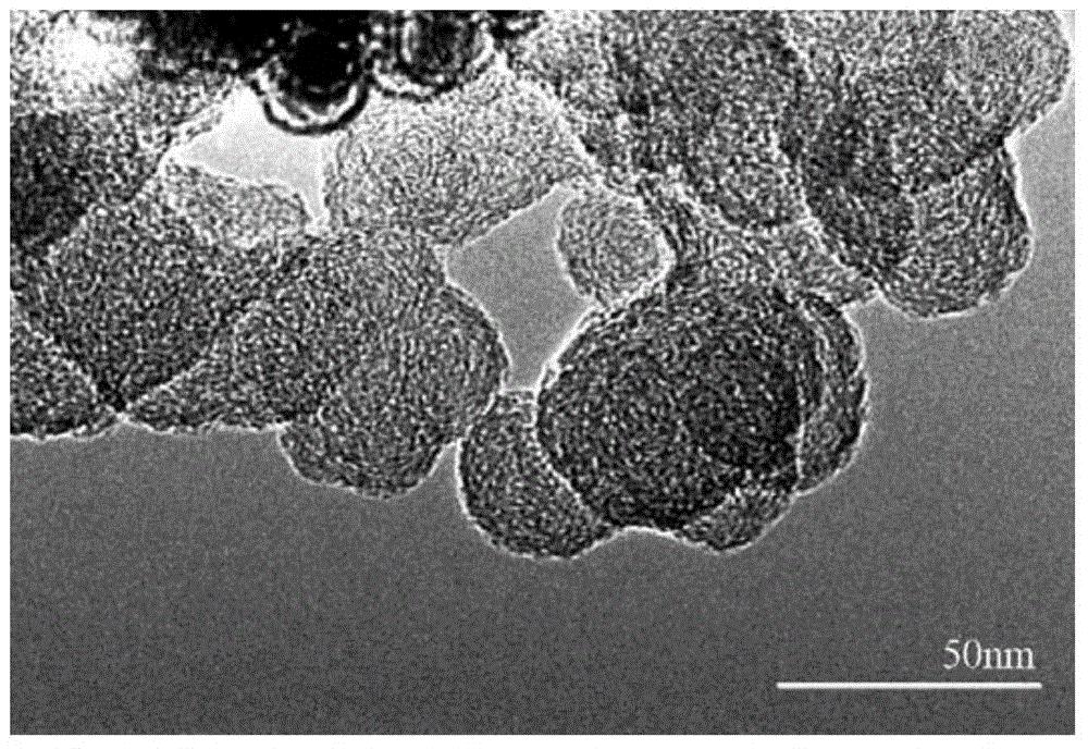 纳米纤维素微观结构