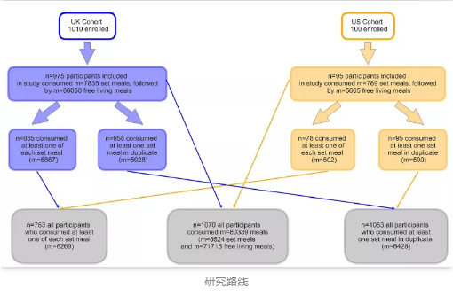 接受癌症免疫疗法治疗后的患者出现免疫相关不良事件（irAE）的发生概率研究路线