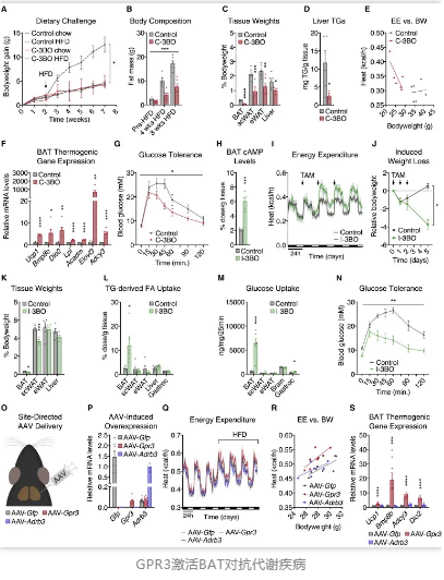GPR3激活BAT对抗代谢疾病