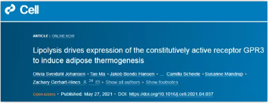 一个调动棕色脂肪组织（BAT）的有效靶标