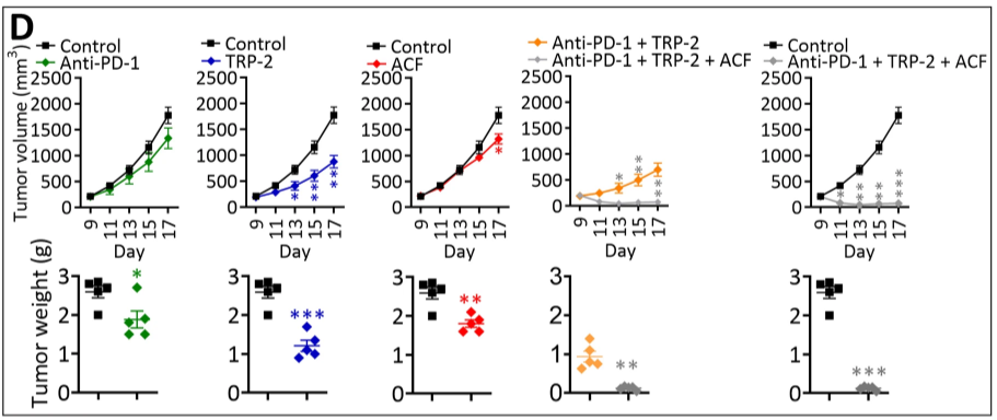 联合 ACF 提高了基于 TRP-2 的疫苗和抗 PD-1 在黑色素瘤中的治疗效果